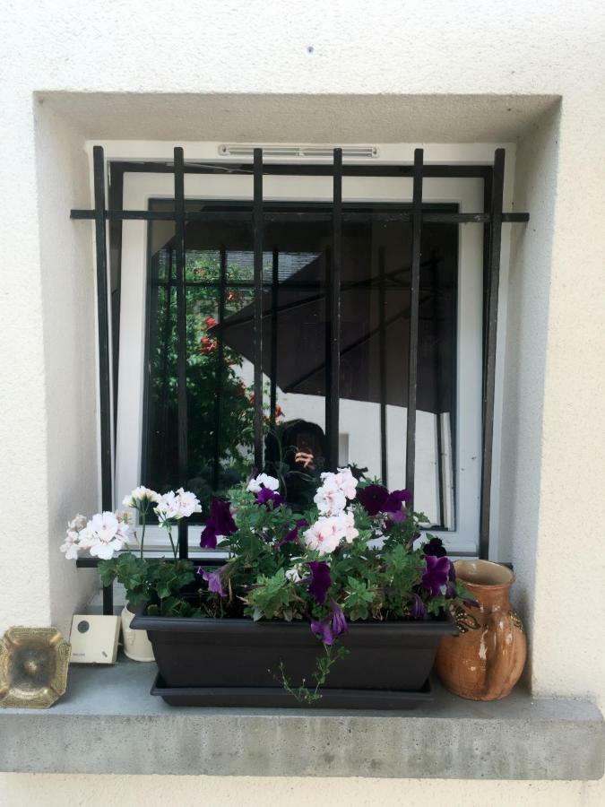 サン・ジョルジュ・シュル・シェール Le Muguet Bed & Breakfast エクステリア 写真