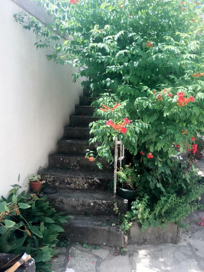 サン・ジョルジュ・シュル・シェール Le Muguet Bed & Breakfast エクステリア 写真